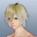 Image result for PSO2 NGS Hair Extensions
