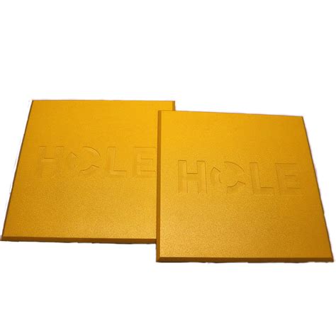 16″ Floor Sink Drive Cover | SmartGuard