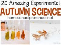 Ryan's Science Experiments 的图像结果