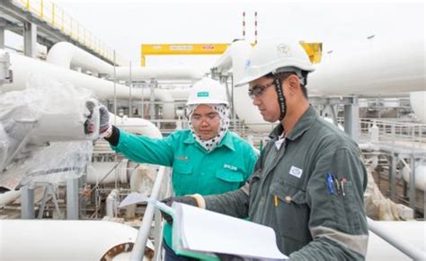 Image result for Dialog Group