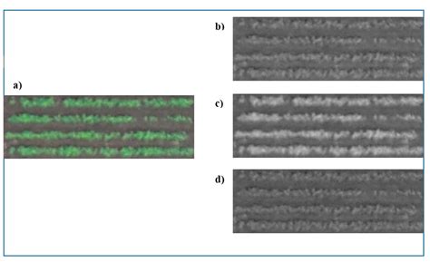 Prediction of Soybean Plant Density Using a Machine Learning Model and ...