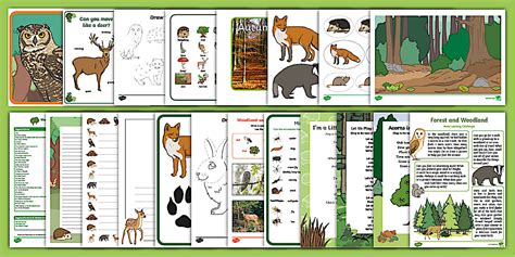 EYFS Ages 3-5 Forest and Woodland Resource Pack