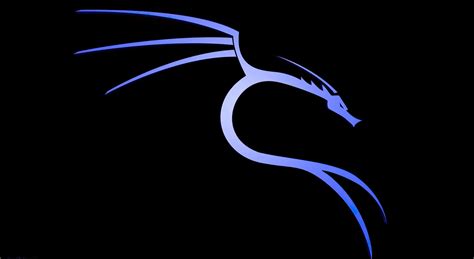 Image result for Kali Linux Background