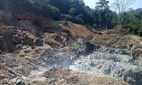 Angry elephants and disappearing fish: Small hydel plants are no green ...