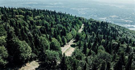 UCI MTB World Cup: DH track explanation Mt-Sainte-Anne