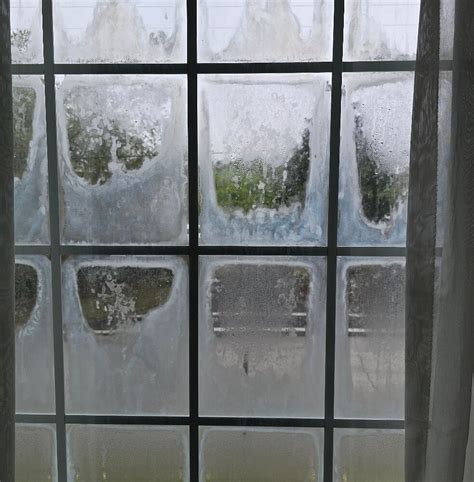 BEST WESTERN NICEVILLE - EGLIN AFB HOTEL - Hotel Reviews, Photos, Rate ...