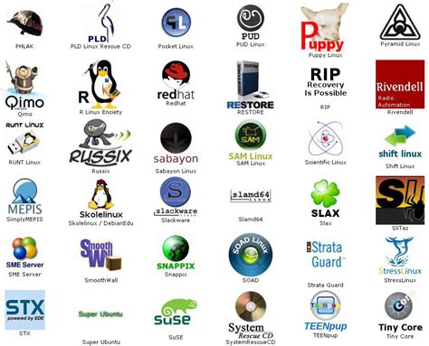 Image result for Linux Logo Design