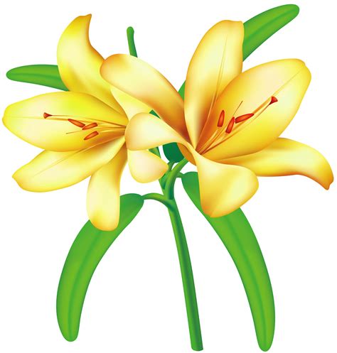 Yellow Flower Clip Art - Cliparts.co