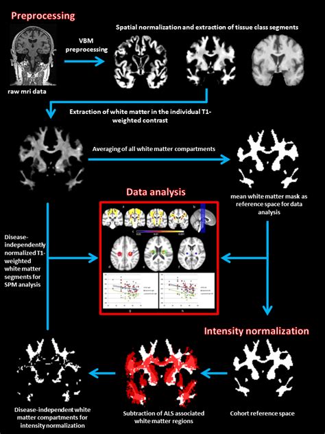 Image result for Processing Box in Algorithm