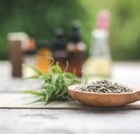 Can Herbal Medicines Reduce the Duration of Antibiotic Therapy?