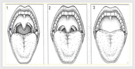 Malnad E.N.T Malnad ENT Institute & Research Centre Hospital