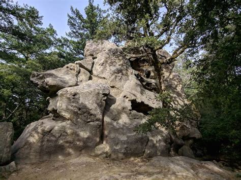 Castle Rock State Park | Santa Clara - What to Expect | Timings | Tips ...