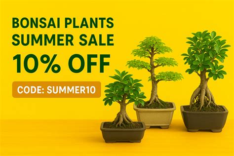 Buy Bonsai Plants & Trees Online in India for Home & Balcony – abana homes