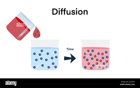 Diffusion 的图像结果