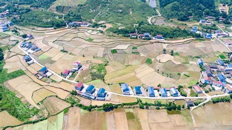 Agriculture Ppt Background 的图像结果