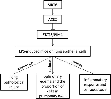 LPS Algorithm 的图像结果