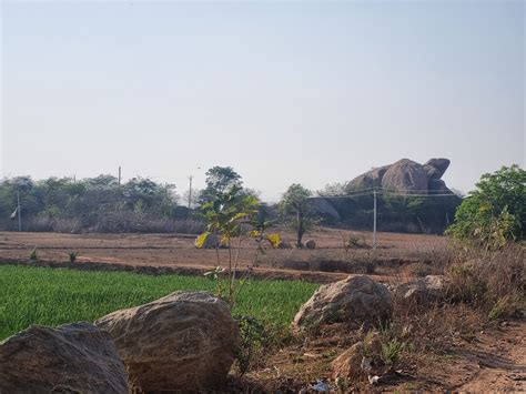 How farm ponds rekindled farmers' hopes in water-scarce Telangana ...