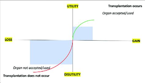 Prospect Theory Examples 的图像结果