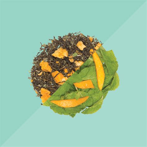 Iced Teas | Refreshing & Flavorful Cold Tea Blends – Tea Trunk