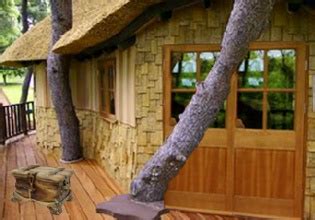 Image result for Tree Felling Escape Route