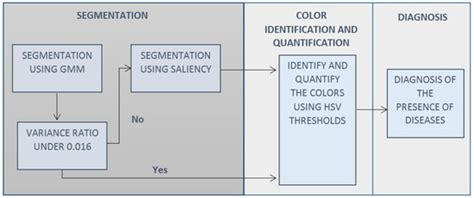 Plant Disease Diagnosis in the Visible Spectrum