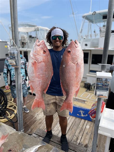 Catching the Gulf’s Prize: A Guide to Red Snapper Season in Clearwater ...