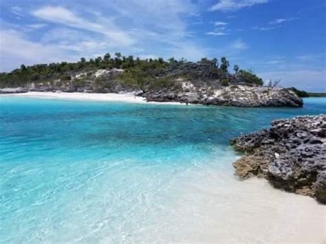 Sea Senor Charters (New Providence Island) - 2021 What to Know Before ...