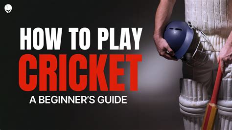 Cricket Tutorial 的图像结果