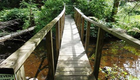 PLAISTOW TOWN FOREST - All You Need to Know BEFORE You Go 2026 (with ...