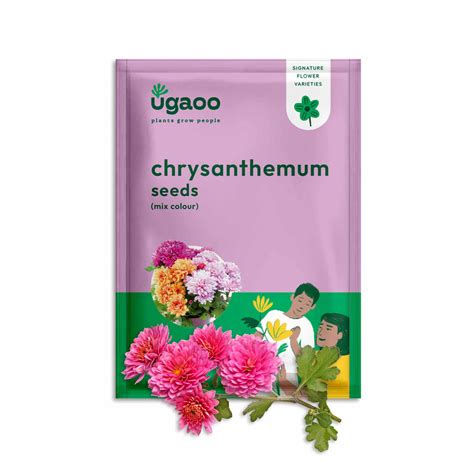 Buy High-Yield Non-GMO Seeds Online in India | Ugaoo