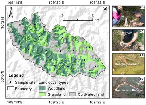 Accelerating Effect of Vegetation on the Instability of Rainfall ...