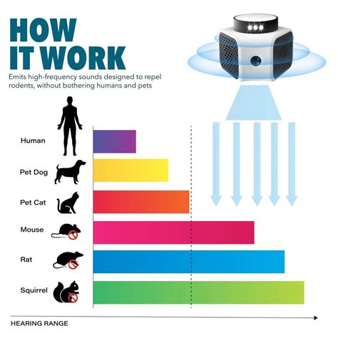 Do Ultrasonic Pest Repellers Work on Bats? - Rodents, Reptiles & Bats - Thanos Home Forums