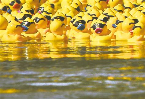 Rubber Ducky You're The One at David Oldham blog