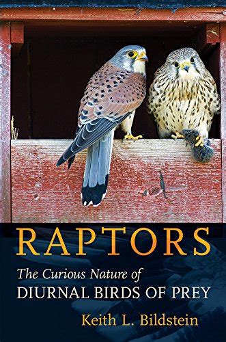 Raptors: The Curious Nature of Diurnal Birds of Prey eBook : Bildstein ...