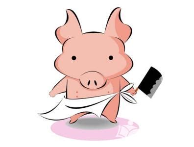 2019年属猪人多大了 生肖猪今年多少岁_起名网