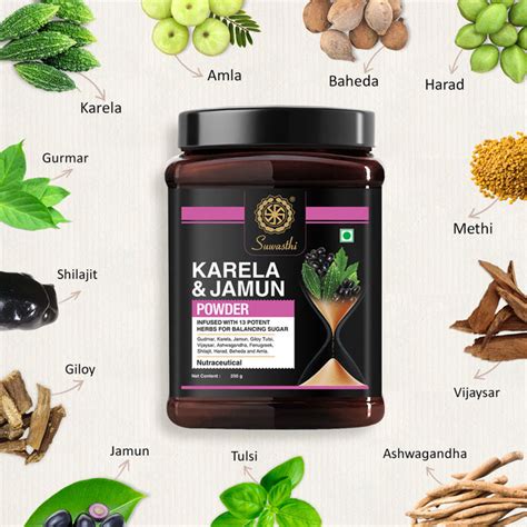 Karela Jamun Powder - 100% Natural Supplement for Managing Blood Sugar ...