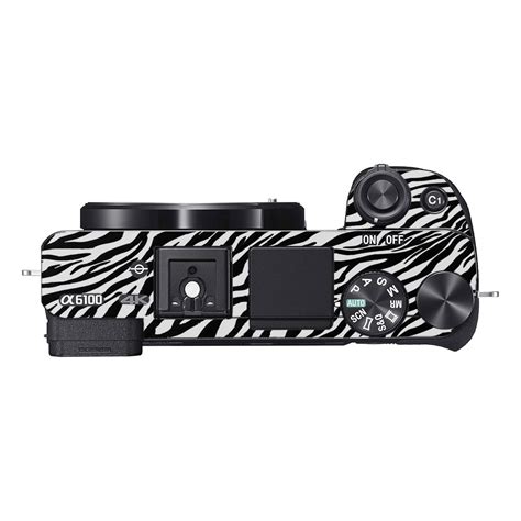 Classic Zebra Stripes Sony A6100 Camera Skins