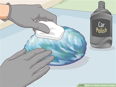 How to Polish Shells 的图像结果