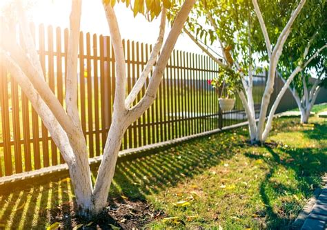 Page 5 | Beautiful park fencing Photos - Download Free High-Quality ...