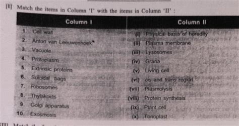 plz bta do koi yeh quis - Brainly.in