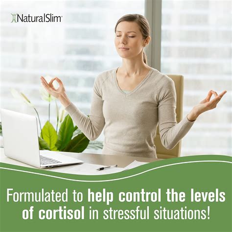 Buy NaturalSlim Stress Defender - Cortisol Support & Stress Support ...