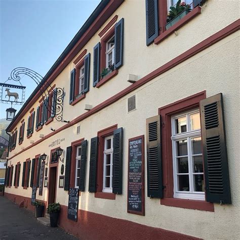 DAS LAMM HEIDELBERG - Inn Reviews, Photos, Rate Comparison - Tripadvisor