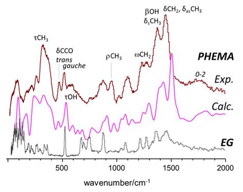 Understanding the Structure and Dynamics of Nanocellulose-Based ...