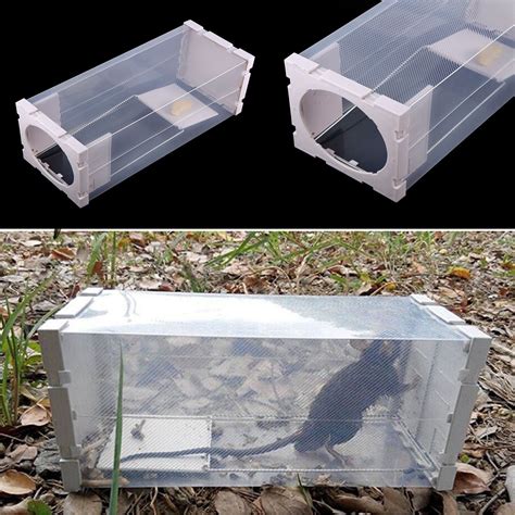 Humane Rat Trap Cage Box Live Animal Pest Rodent Mice Mouse Control ...