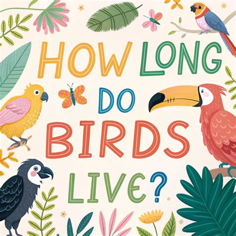 How Long Do Birds Live? A Comprehensive Guide to Avian Lifespan