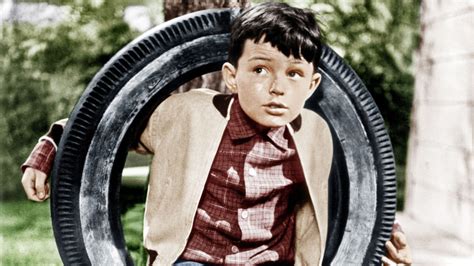 All About 'Leave It to Beaver' Star Jerry Mathers' Mother, Marilyn ...
