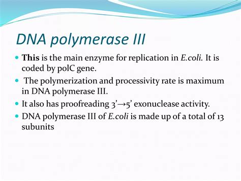 DNA Polymerase.pptx