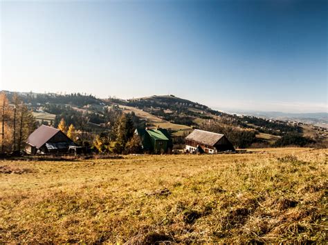 Patterns and Hierarchy of Settlements — lesson. Social Science, Class 7.