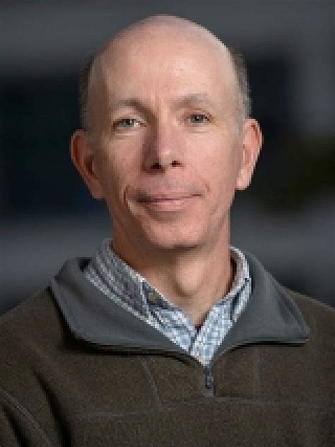 Dean Tantin | Spencer Fox Eccles School of Medicine
