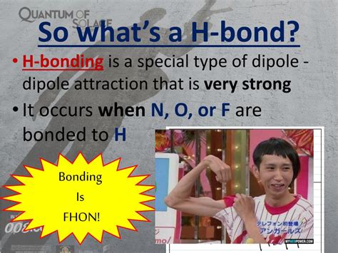 Image result for Intramolecular Forces Explained